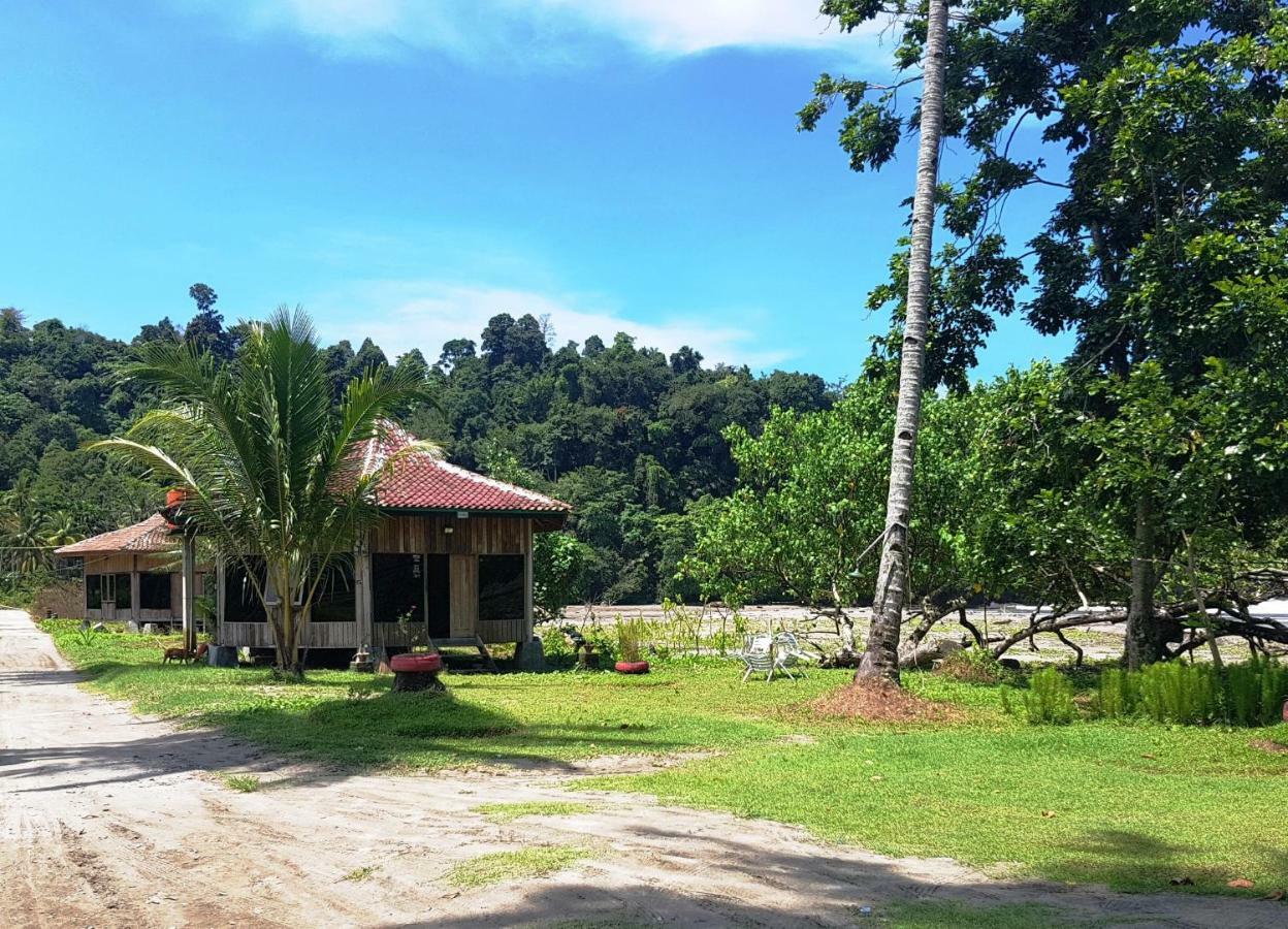 Revive Lampung Krui King Resort Eksteriør billede