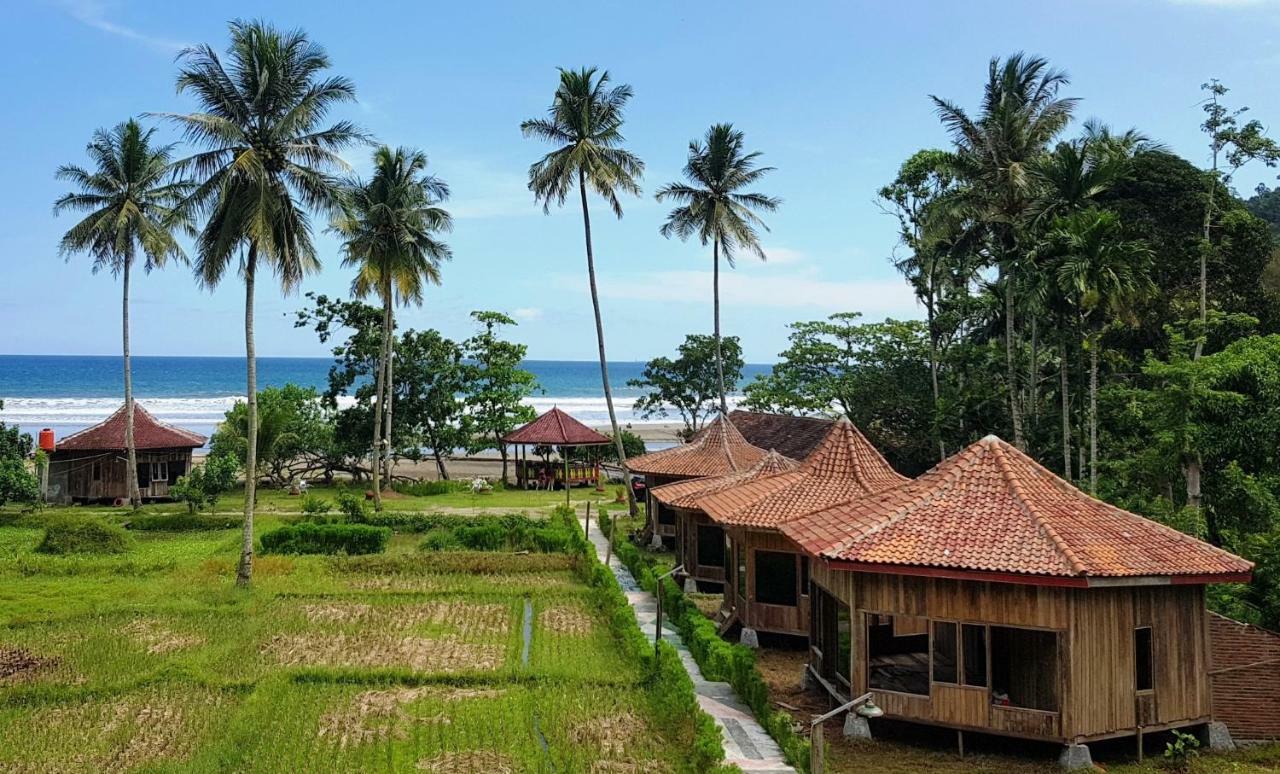 Revive Lampung Krui King Resort Eksteriør billede